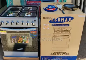 Ecomax 60 Standing Cooker