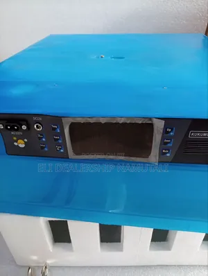 Efficient 64 Egg Incubator With Automatic Temperature Control