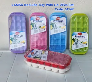 Ice Cube Tray – 2pcs Set With Lid_b