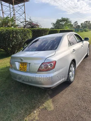 Toyota Mark X 2009 Silver