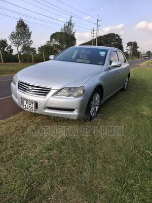 Toyota Mark X 2009 Silver