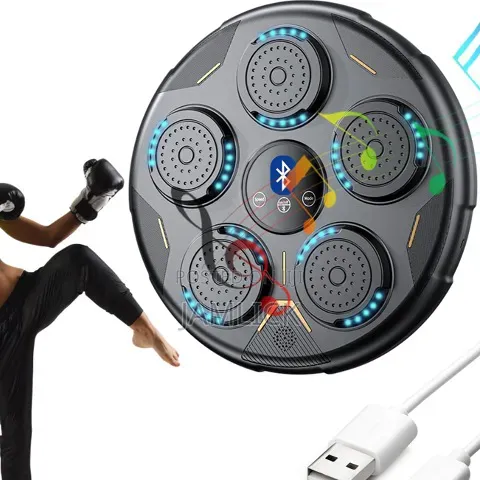 Bluetooth Wall Mounted Punch Boxing Trainer With Led Display - Sh