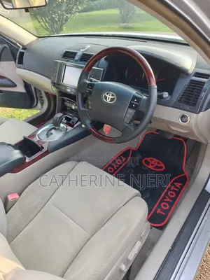 Toyota Mark X 2009 Silver