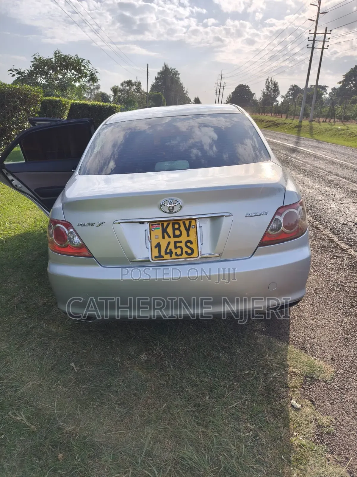 Toyota Mark X 2009 Silver