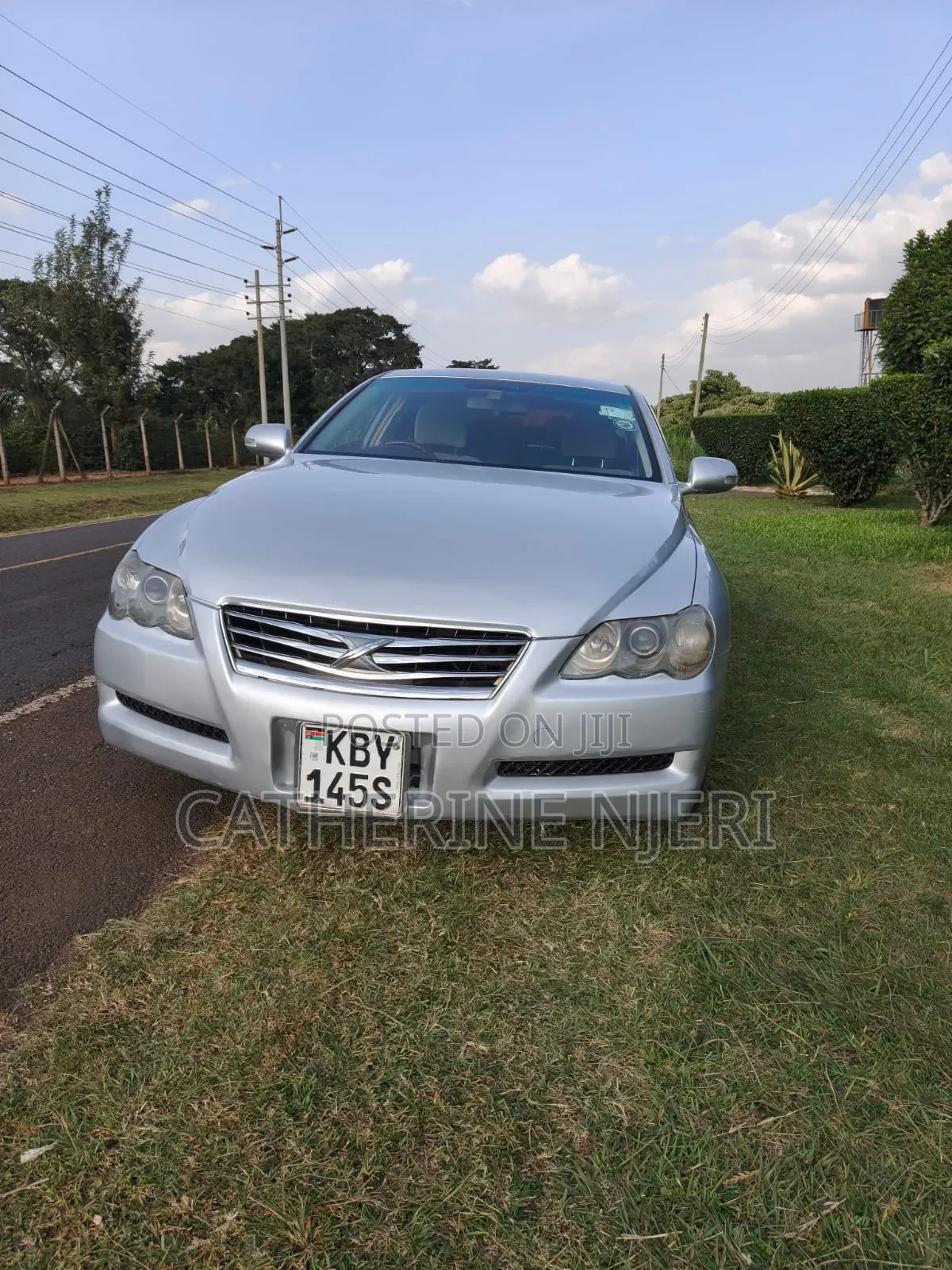 Toyota Mark X 2009 Silver