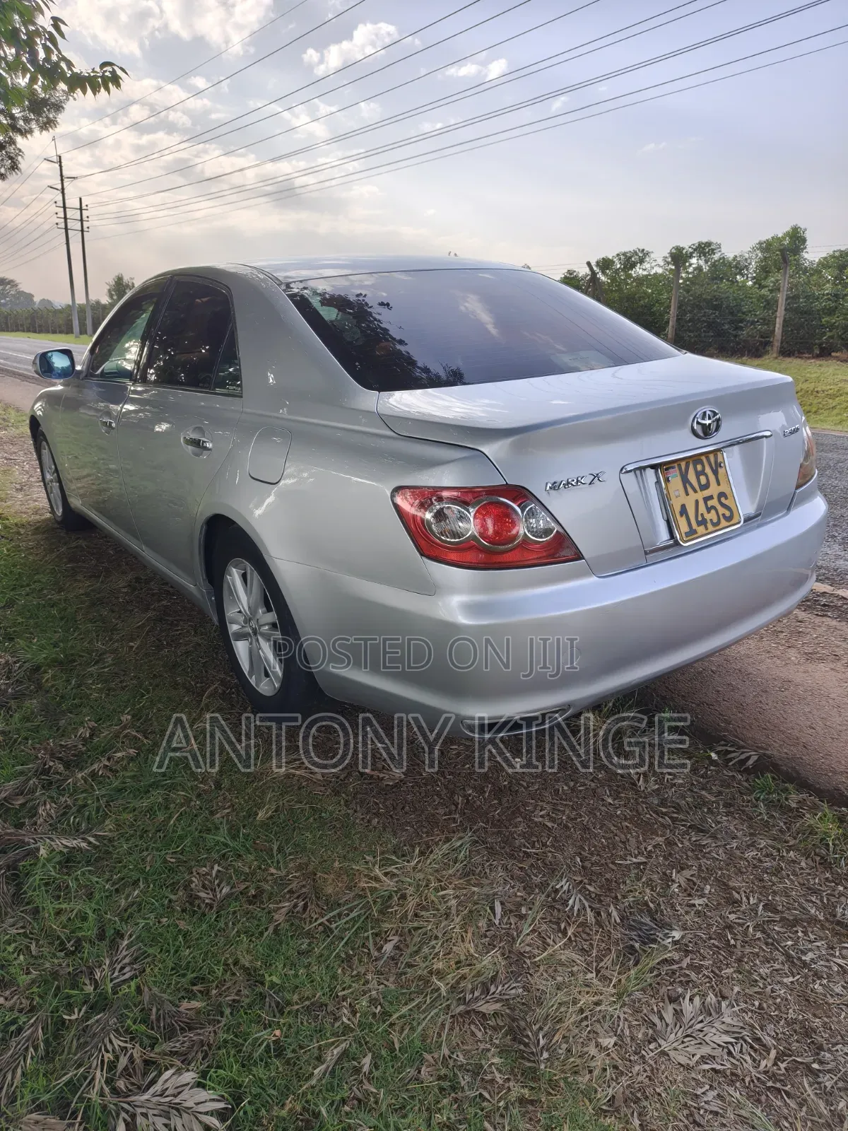 Toyota Mark X 2007 Silver