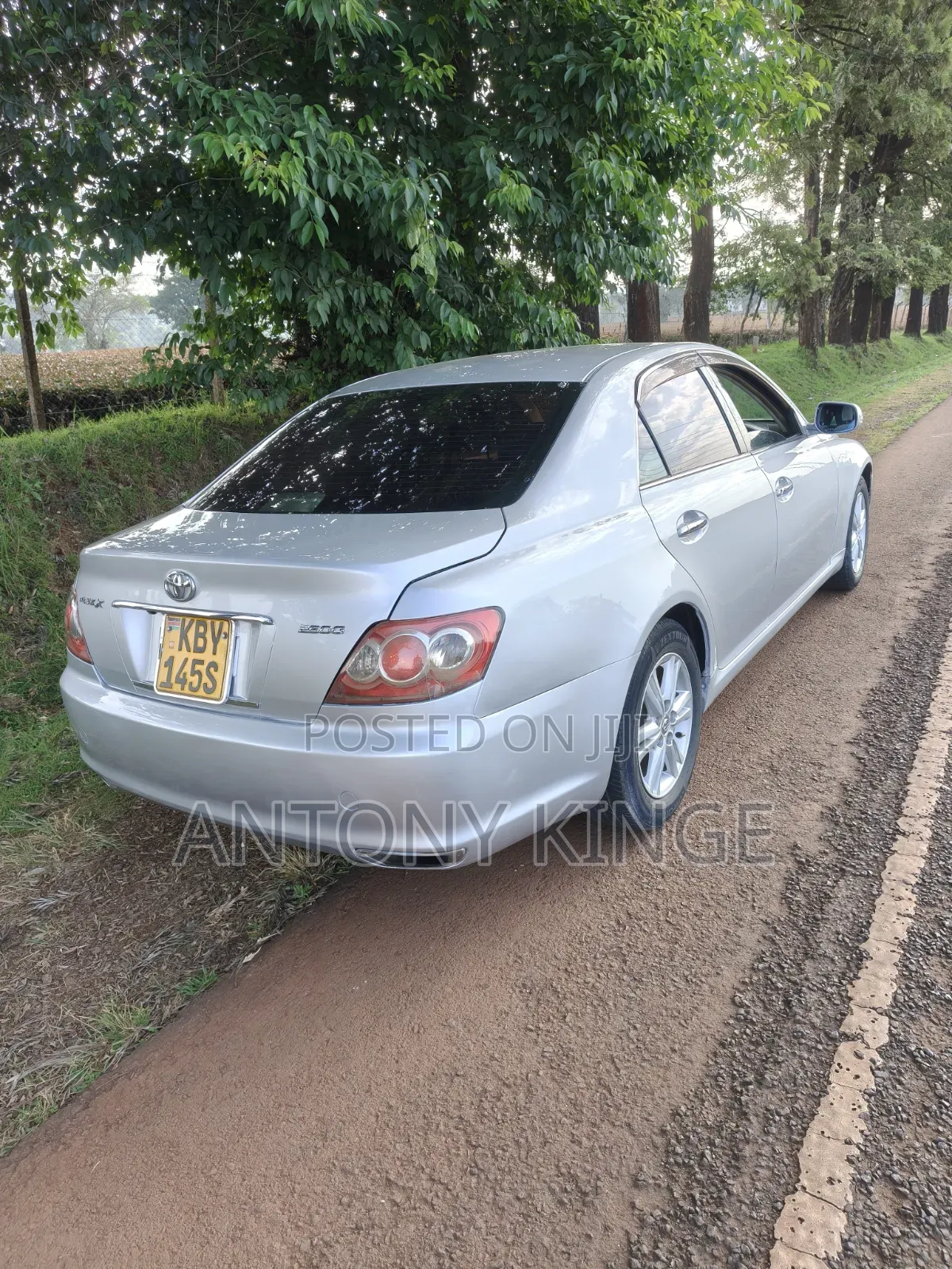 Toyota Mark X 2007 Silver