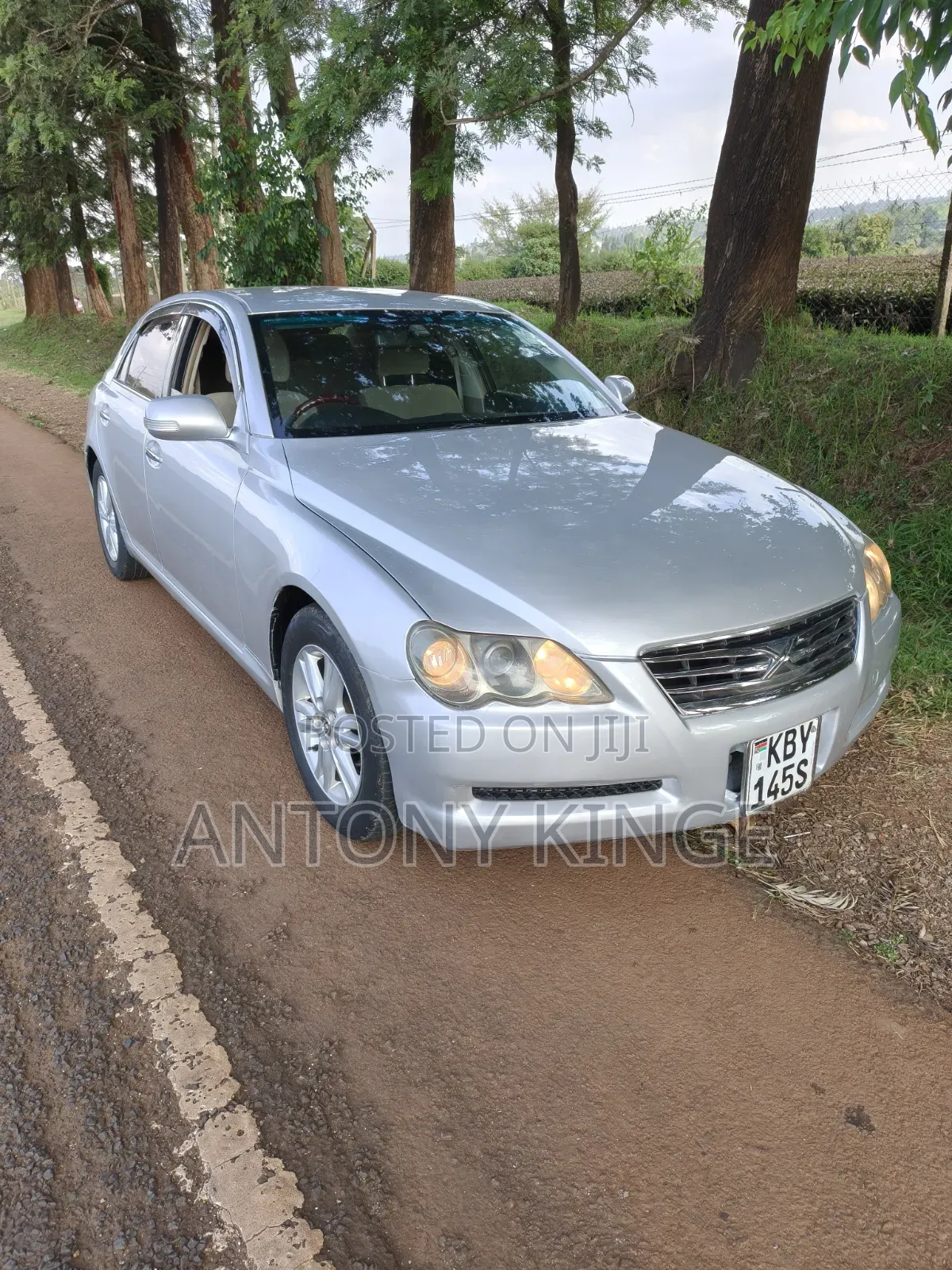 Toyota Mark X 2007 Silver