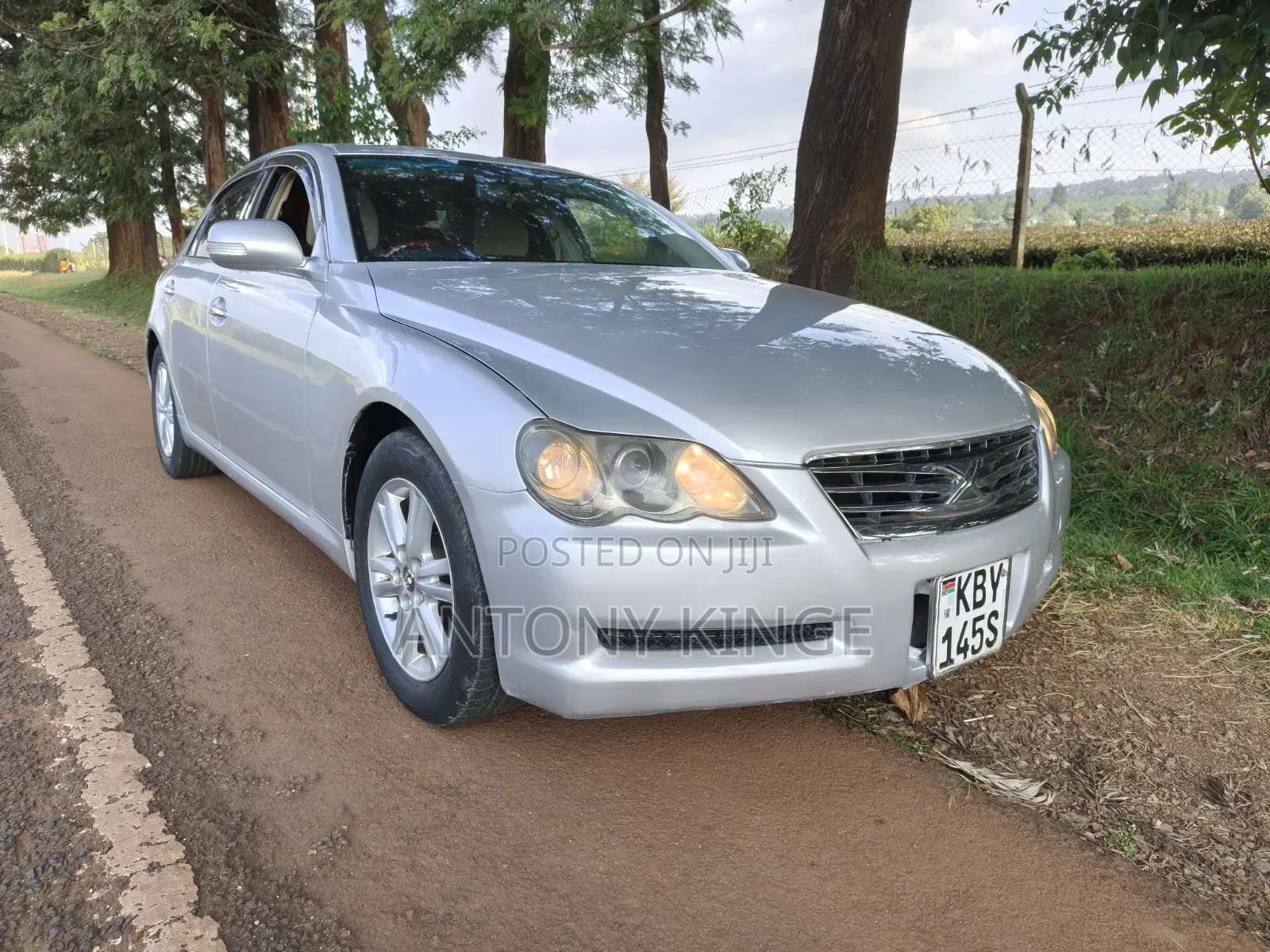 Toyota Mark X 2007 Silver