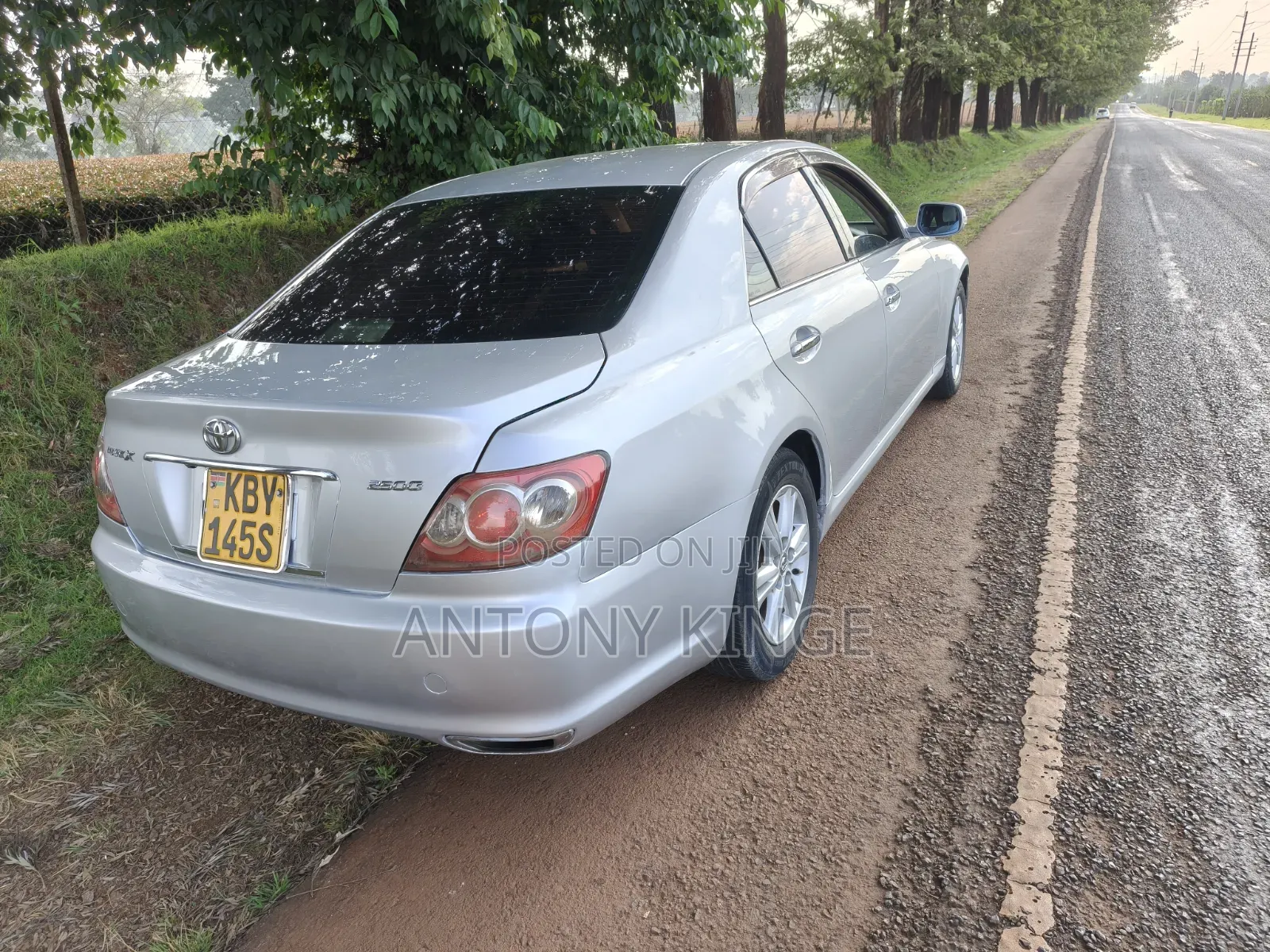 Toyota Mark X 2007 Silver