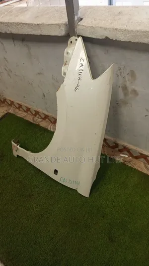 Caldina 240 Fender/Wing