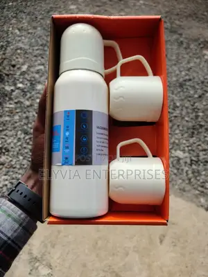 4 Pieces Vaccum Water Bottle