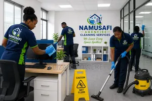 Professional Cleaning Services