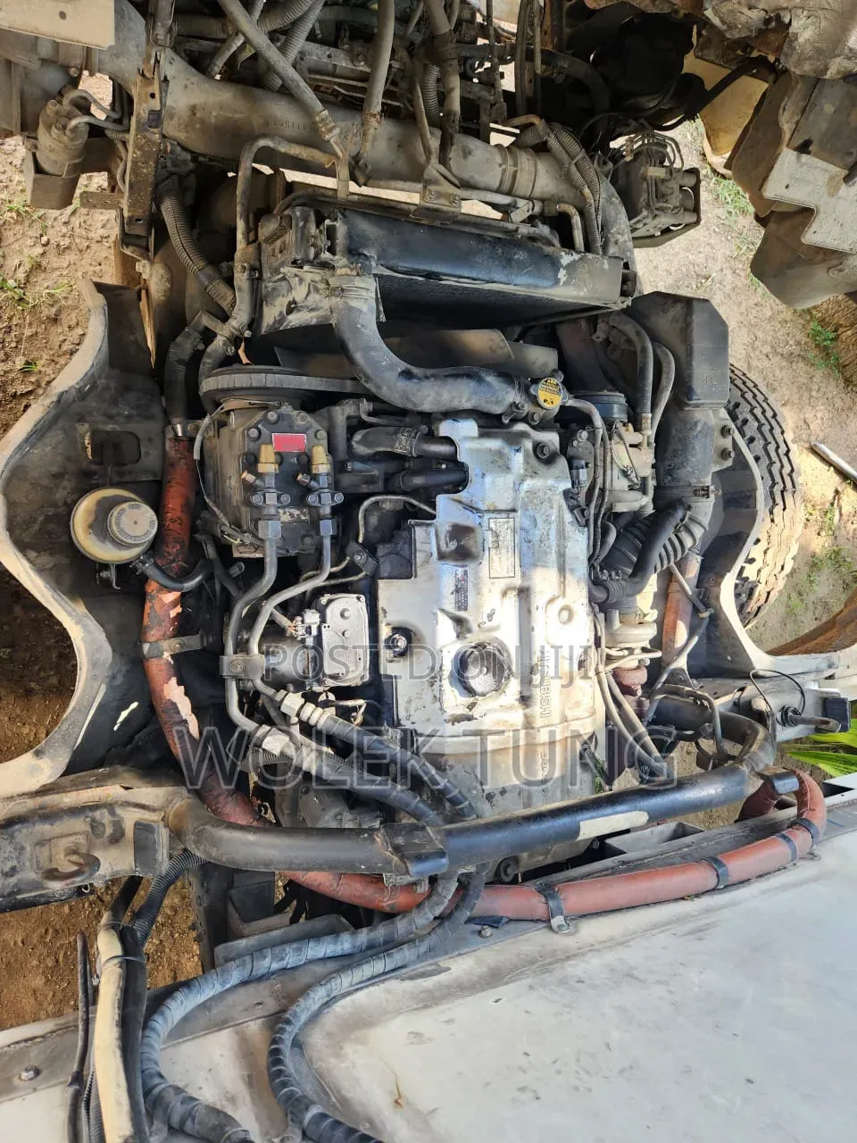Canter for Sale