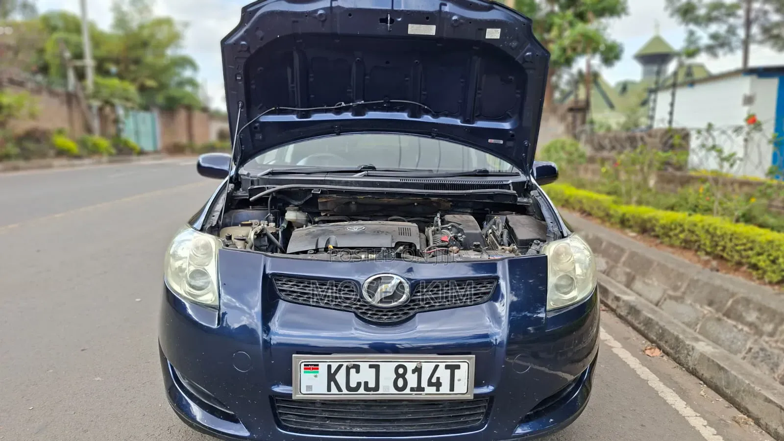 Toyota Auris 2010 Blue