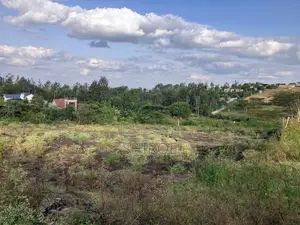 Plot for Sale