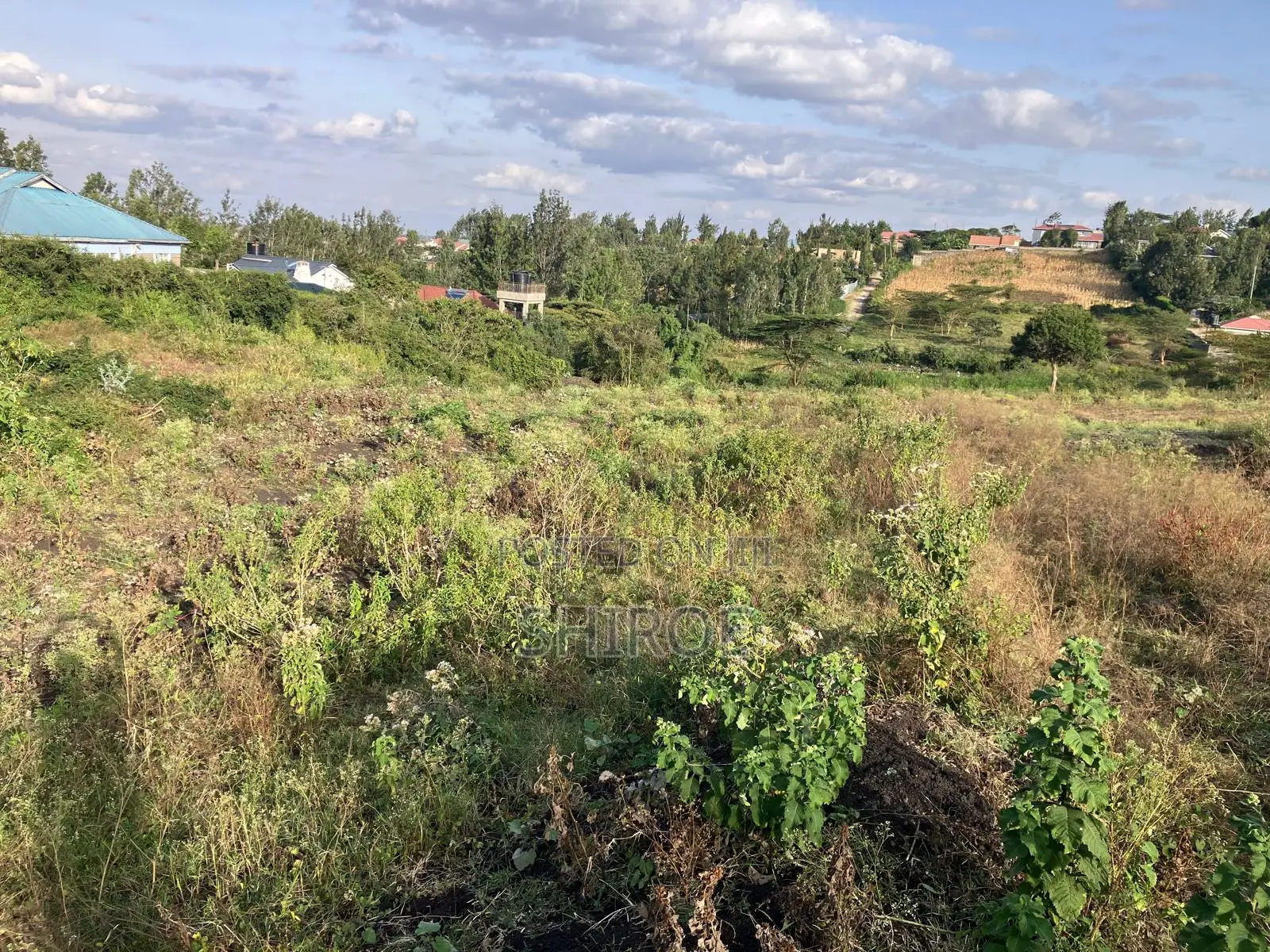 Plot for Sale