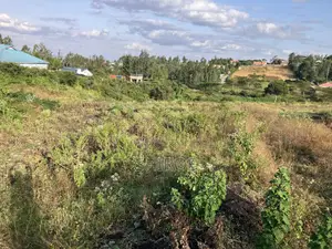 Plot for Sale