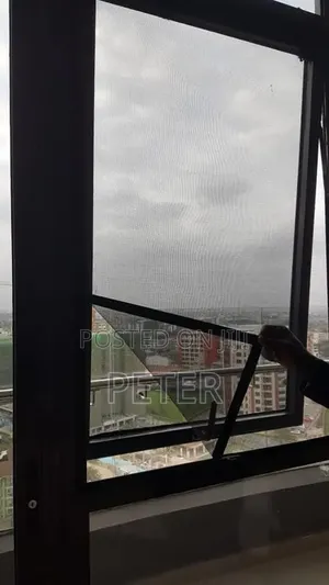 Windows Mosquito Screen