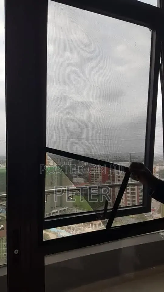 Windows Mosquito Screen