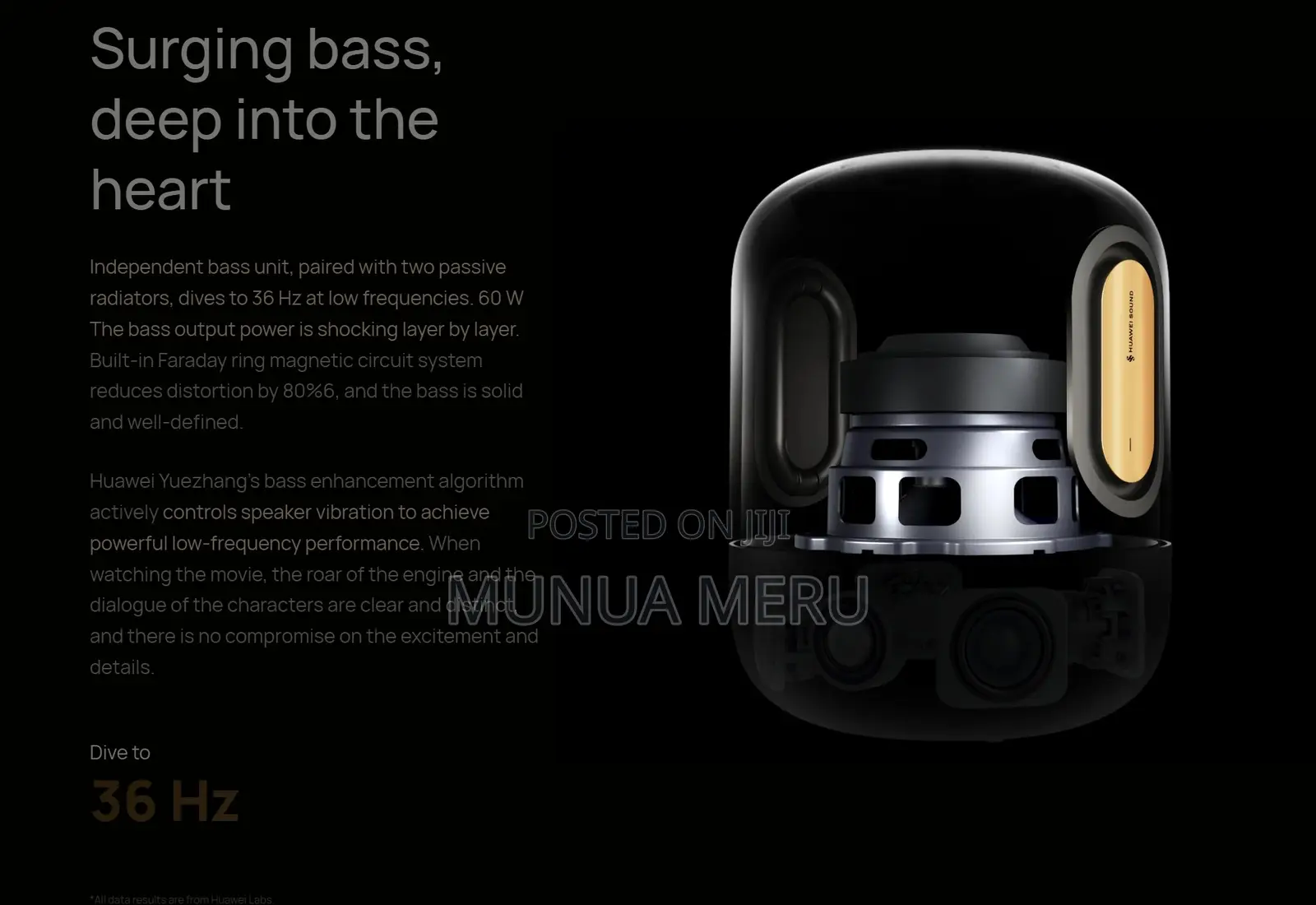 Huawei Sound X5