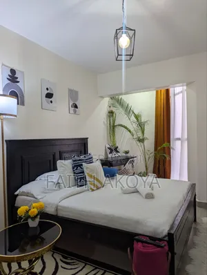 Studio Airbnb/Furnished Apartment in South B