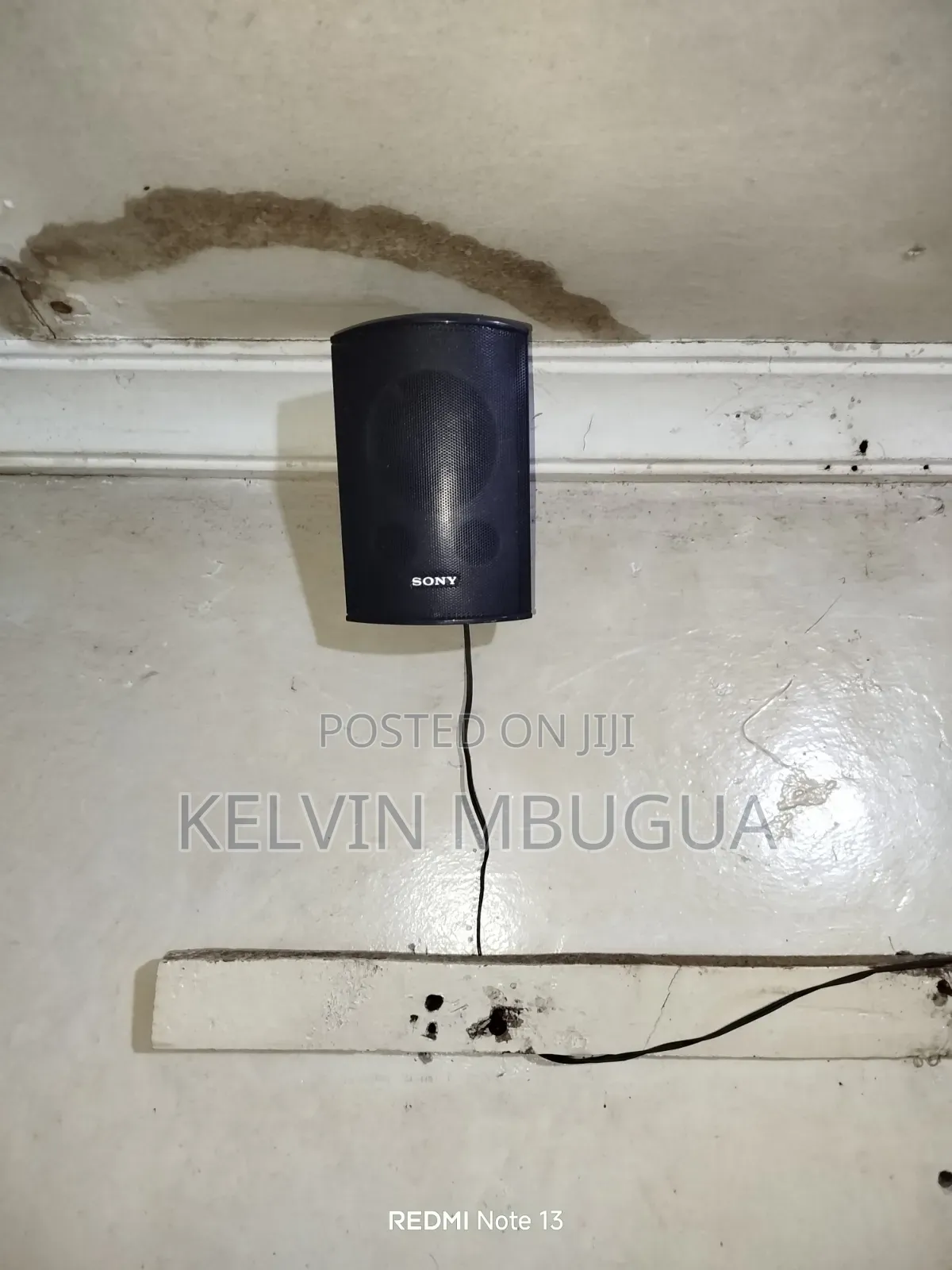 Kelvin Sales