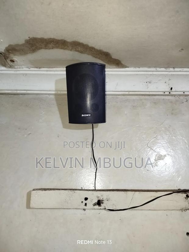 Kelvin Sales