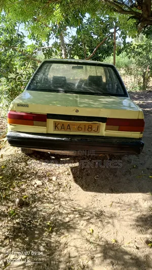 Nissan Sunny 1992 Beige