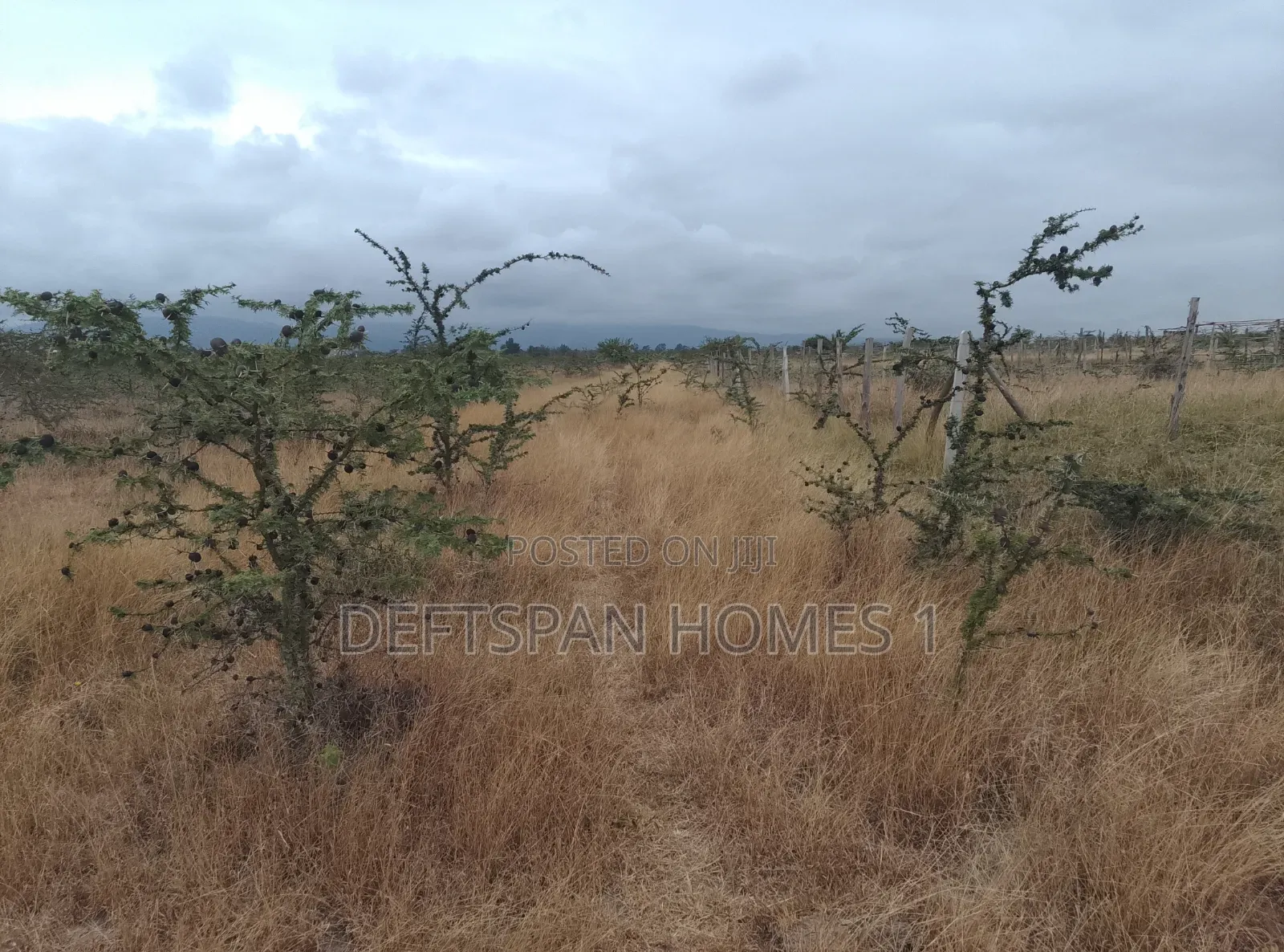 50 by 100 Plot Selling at Kantafu 3.5km