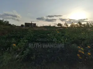 Kamangu 50 by 100