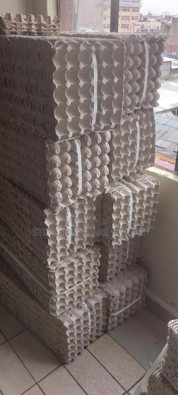 Heavy Duty Papercegg Trays -100 PCS