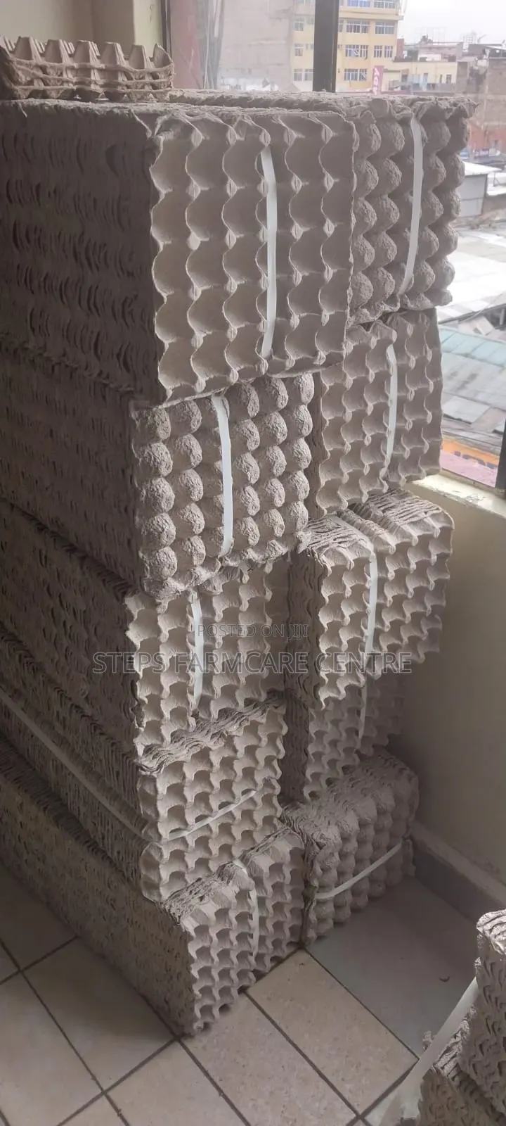 Heavy Duty Papercegg Trays -100 PCS