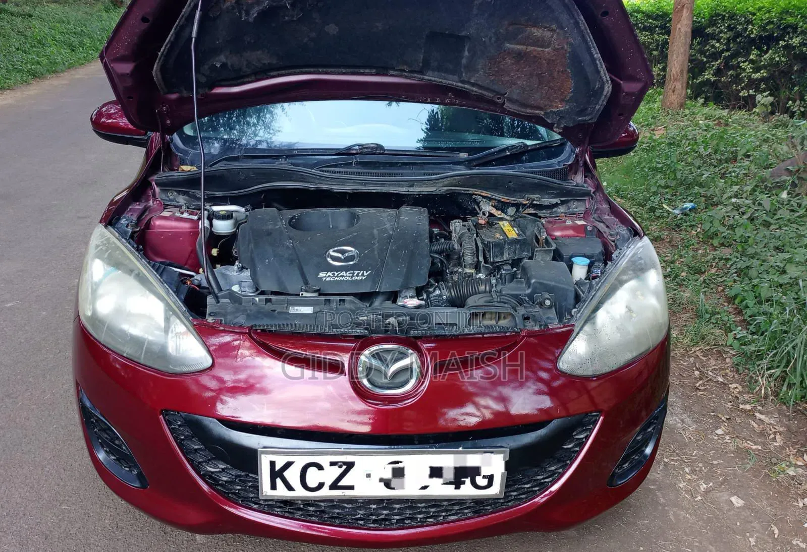 Mazda Demio 2013 Red