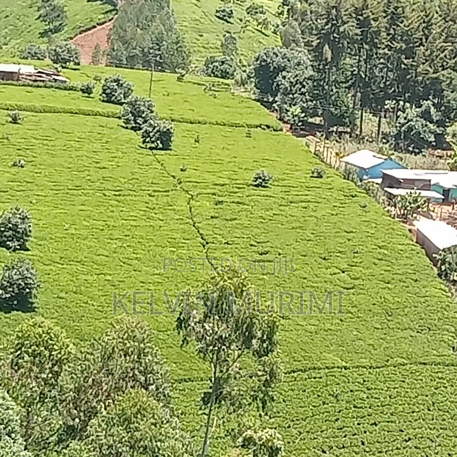 Farming Land and Resident