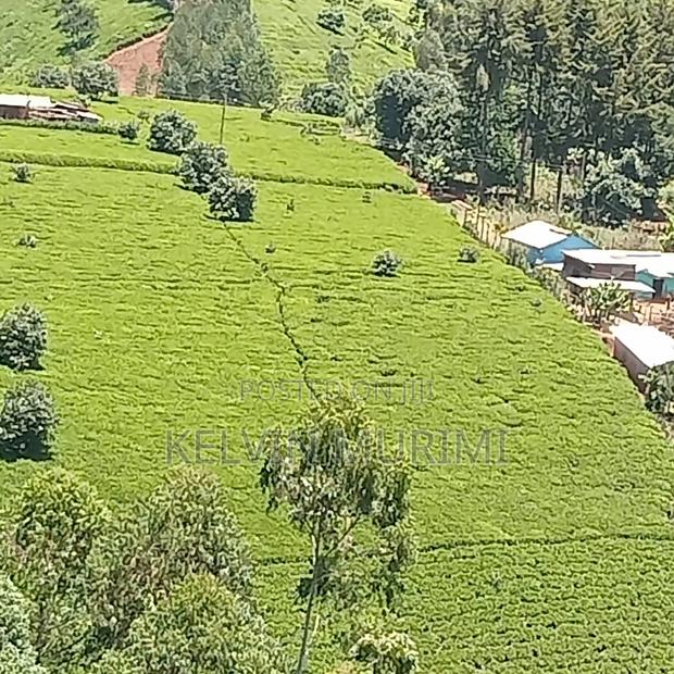 Farming Land and Resident