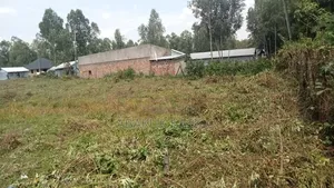 Plot in Rodi, Homa County for Sale