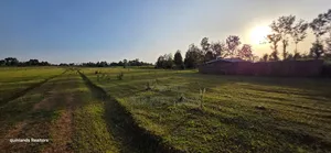 Prime Plots for Sale in Eldoret Sogomo Mti Moja Uoe