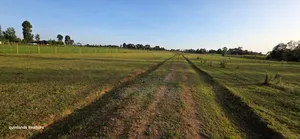 Prime Plots for Sale in Eldoret Sogomo Mti Moja Uoe