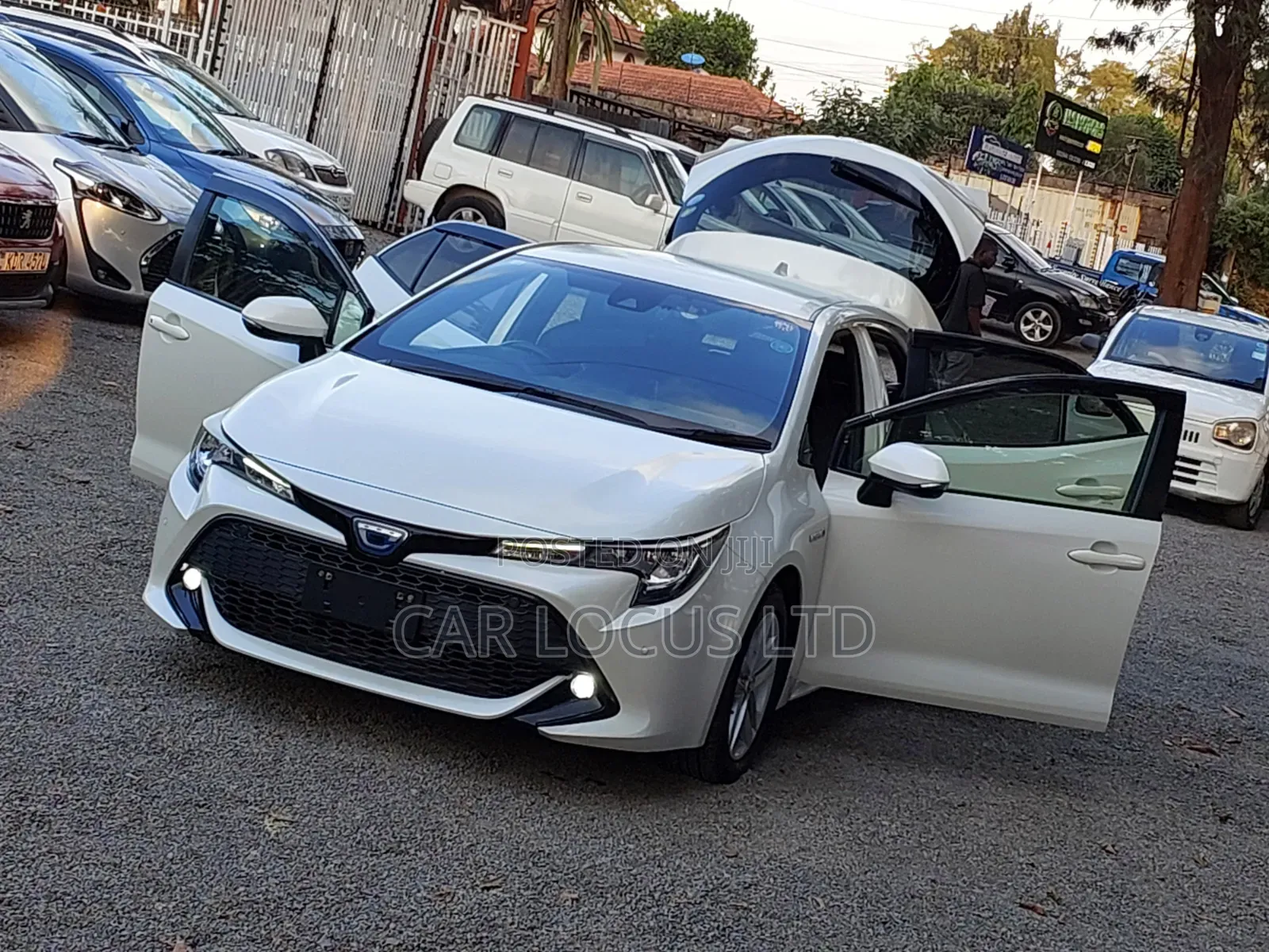 Toyota Corolla 2018  White 