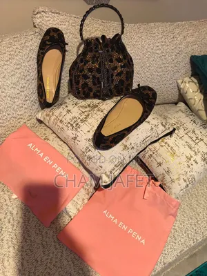 Balerine Shoe Bag