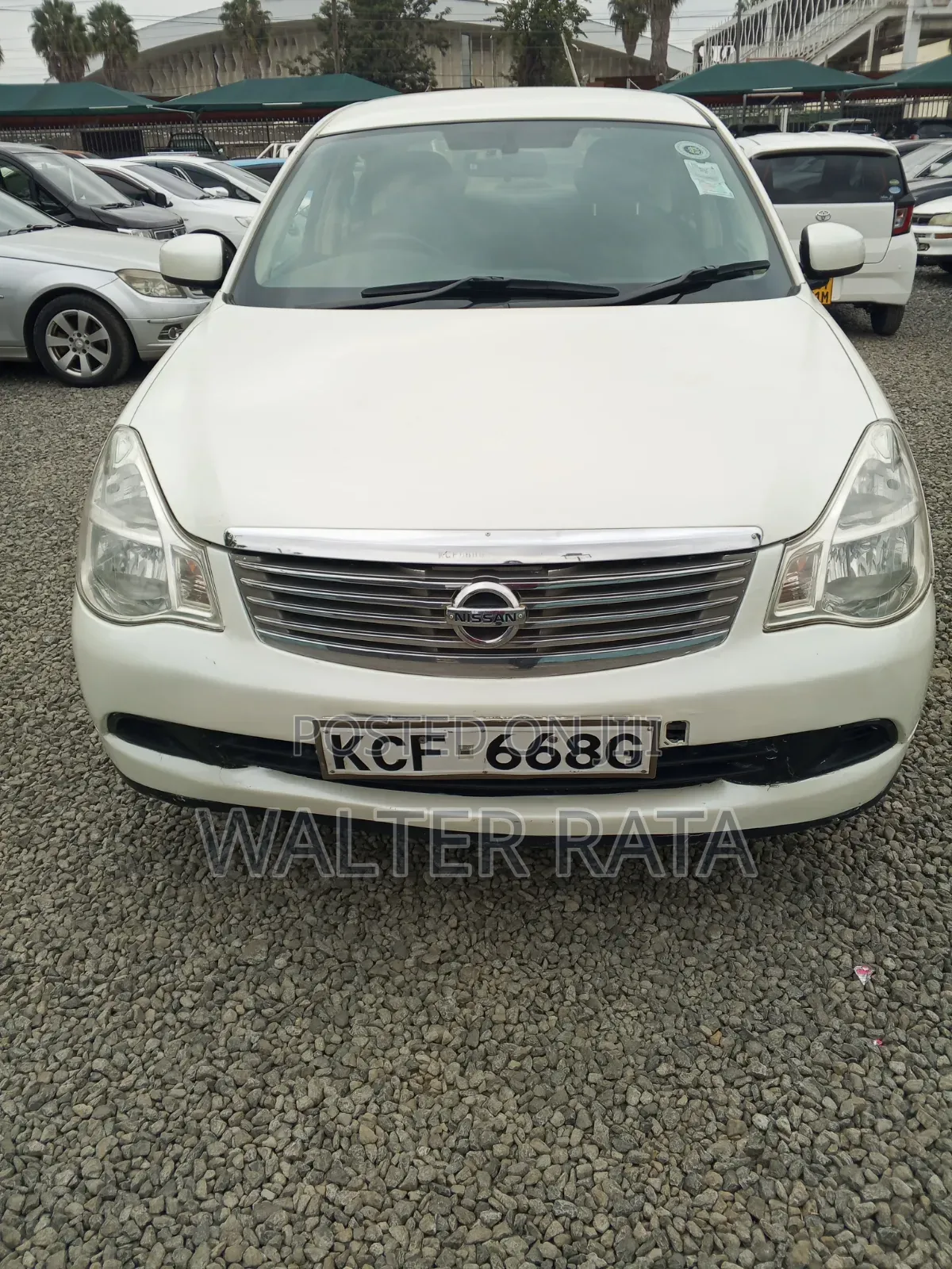 Nissan Bluebird 2008 White