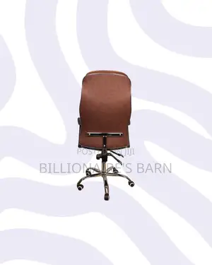 Ergonomic Executive Leather Chair High Back for Compact Work Areas