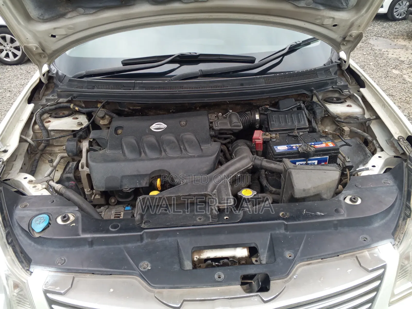 Nissan Bluebird 2008 White