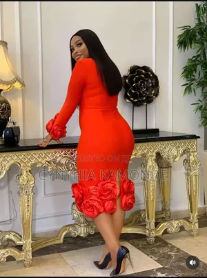 Classy Ladies Dress