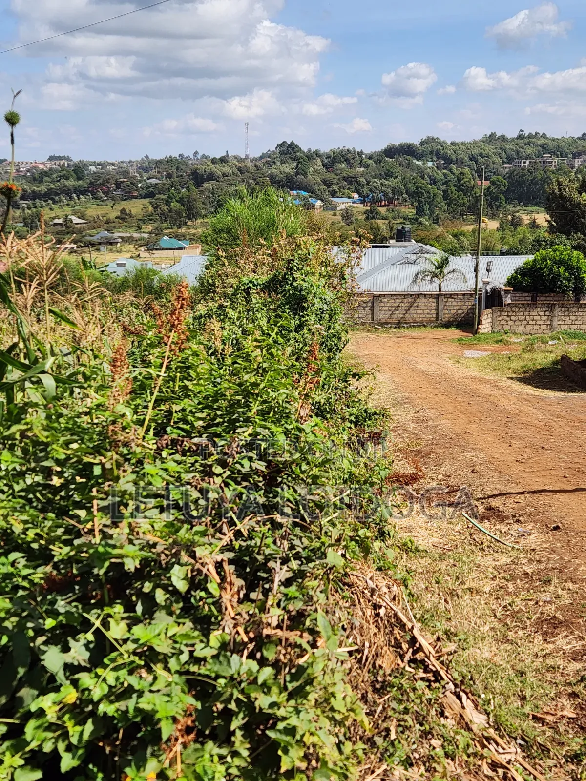 1⁄8 1⁄4 Acres Ngong-Kibiko (Arusha Close)
