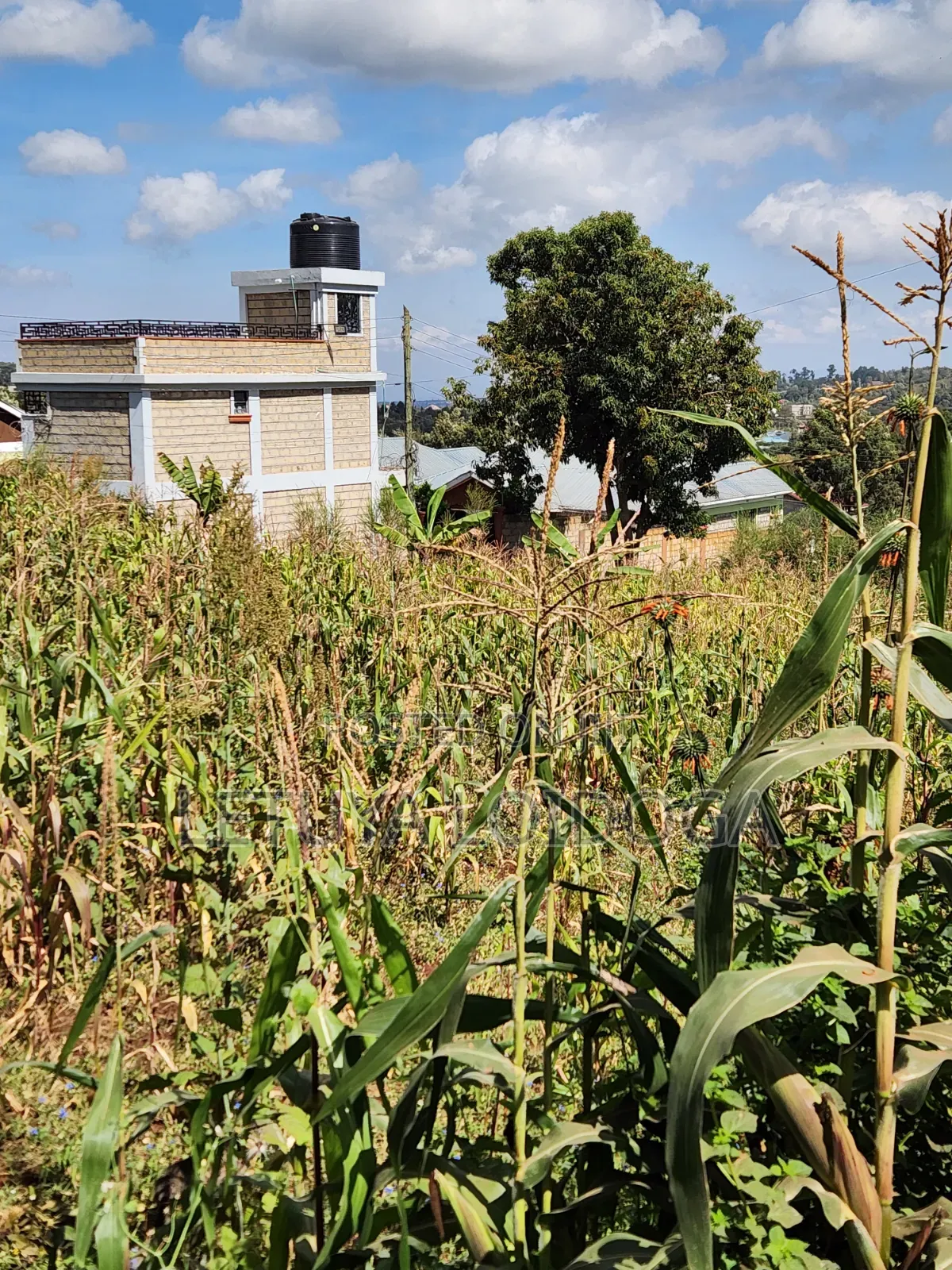 1⁄8 1⁄4 Acres Ngong-Kibiko (Arusha Close)