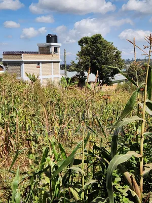 1⁄8 1⁄4 Acres Ngong-Kibiko (Arusha Close)