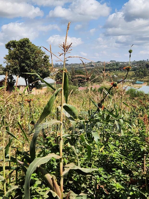 1⁄8 1⁄4 Acres Ngong-Kibiko (Arusha Close) - thumbnail 6