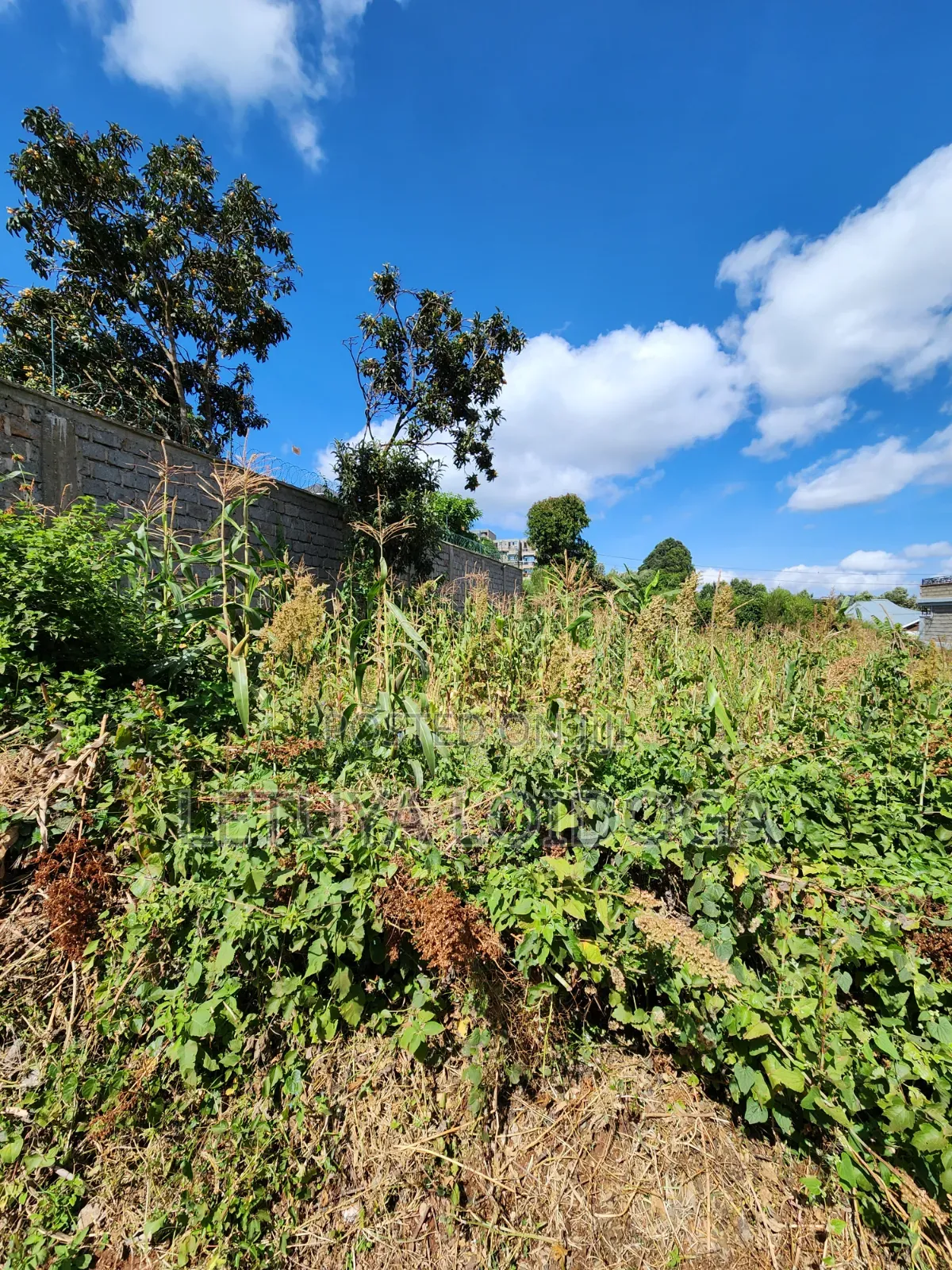 1⁄8 1⁄4 Acres Ngong-Kibiko (Arusha Close)